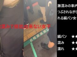 『シン・お触り紳士の日課』第百五十二話