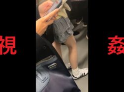 日本の車窓から【本日の混み具合】EP１９４