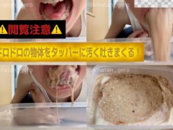 【グロ注意】タッパーに盛大に吐いちゃった…