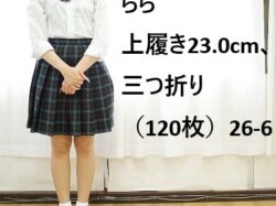 らら 上履き23.0cm、三つ折り（120枚）26‐6