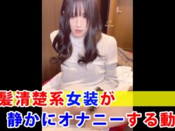 【個撮】黒髪清楚系女装が静かにオナニーする動画